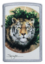 Load image into Gallery viewer, Spazuk