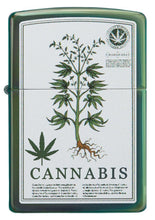 Load image into Gallery viewer, High Polish Green Cannabis Design
